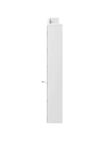 Testiera con Contenitore a LED Bianca 220x16,5x103,5 cm