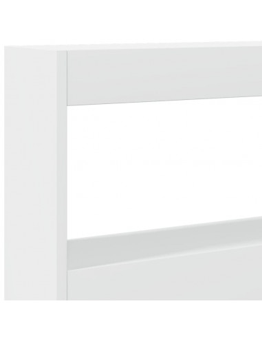 Testiera con Contenitore a LED Bianca 160x17x102 cm