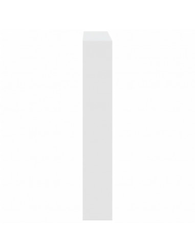 Testiera con Contenitore a LED Bianca 120x17x102 cm