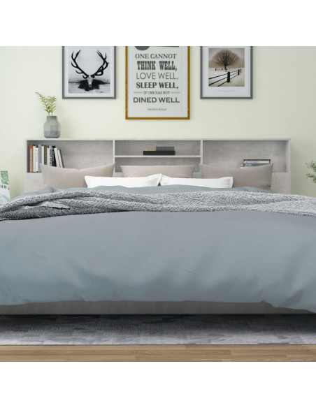 Testiera con Contenitore Grigio Cemento 220x19x103,5 cm