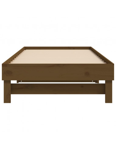 Dormeuse Estraibile Miele 2x(100x200) cm Legno Massello di Pino