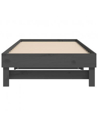 Dormeuse Estraibile Grigia 2x(80x200) cm Legno Massello di Pino