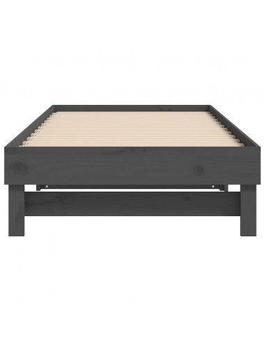 Dormeuse Estraibile Grigia 2x(90x190) cm Legno Massello di Pino