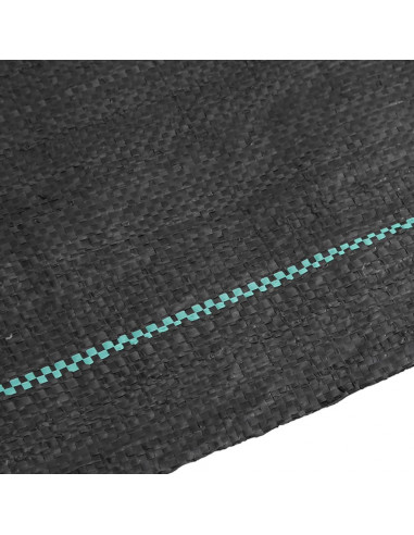 Membrana Antierbacce Nera 0,5x10 m in PP