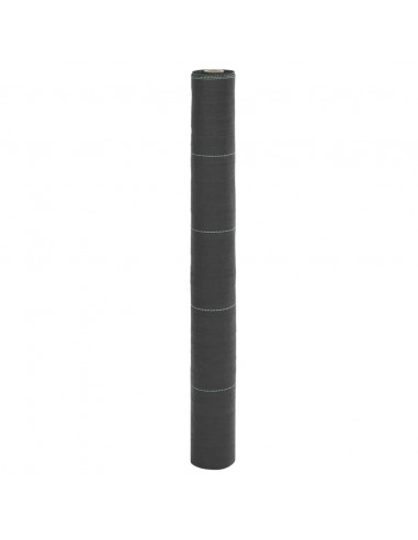 Membrana Antierbacce Nera 1x200 m in PP