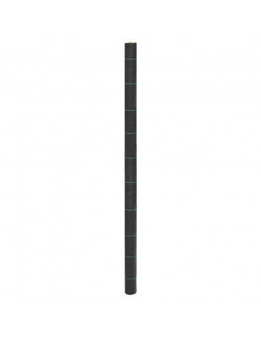 Membrana Antierbacce Nera 2x25 m in PP