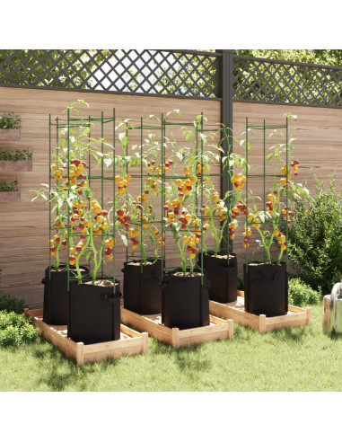 Sostegni Pomodori con Sacchetti Piante 6pz 154 cm Acciaio e PP