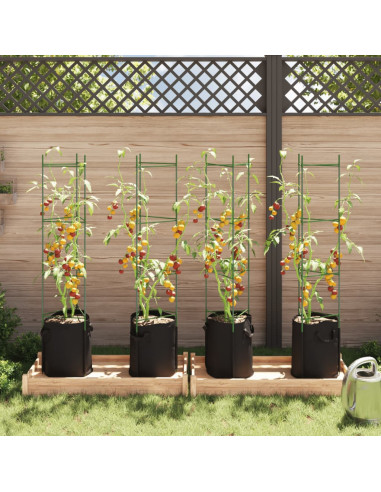 Sostegni Pomodori con Sacchetti Piante 4pz 154 cm Acciaio e PP