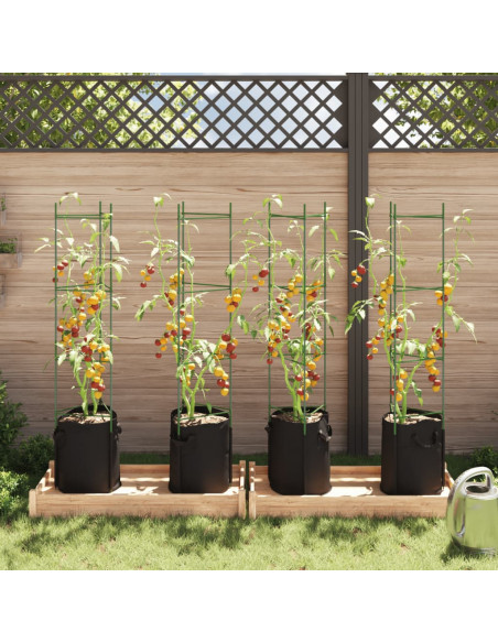 Sostegni Pomodori con Sacchetti Piante 4pz 154 cm Acciaio e PP
