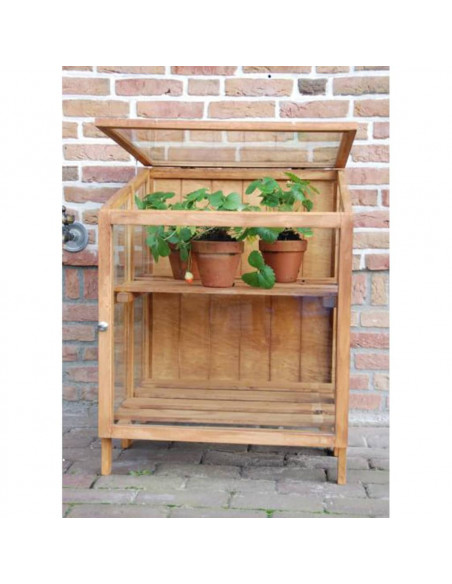 Esschert Design Serra in Legno Massello Piccola GT32