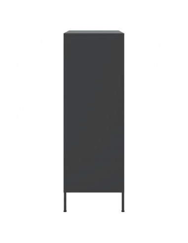Credenza Nera 68x39x113 cm in Acciaio