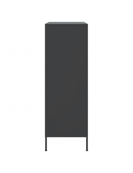 Credenza Nera 68x39x113 cm in Acciaio