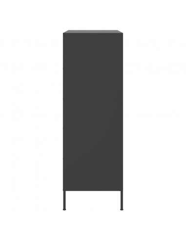 Credenza Nera 68x39x113 cm in Acciaio