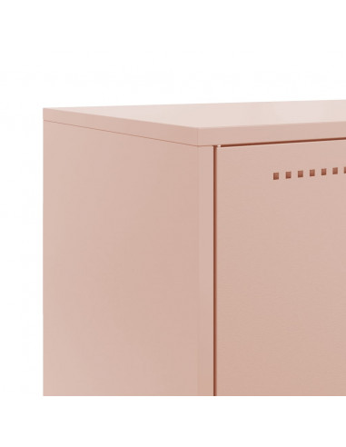 Credenza Rosa 68,5x38,5x123,5 in Acciaio