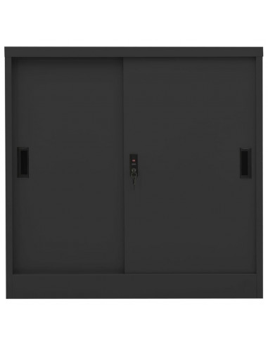 Armadio con Anta Scorrevole e Fioriera Antracite in Acciaio
