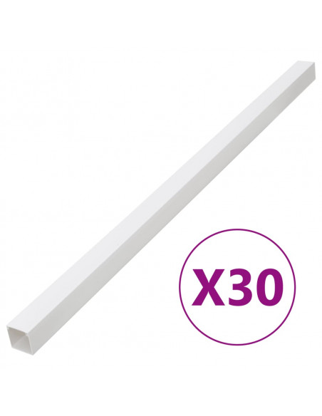 Canalina per Cavi 100x60 mm 30 m in PVC