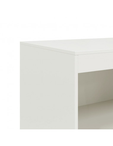 Credenza Bianca 67x39x107 cm in Acciaio