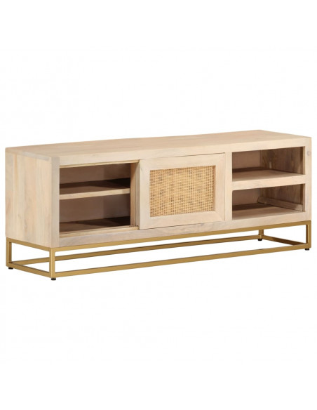 Mobile Porta TV 110x30x40 cm in Legno Massello di Mango e Ferro