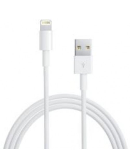 CAVO APPLE DATI LIGHTNING 2MT. - USB MD819ZM/A