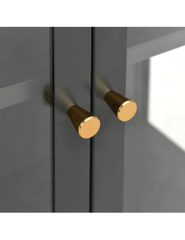 Vetrina Antracite 90x40x180 cm in Acciaio e Vetro Temperato