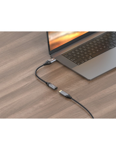 Equip Adattatore da DisplayPort 1.4 a HDMI, 8K/60Hz