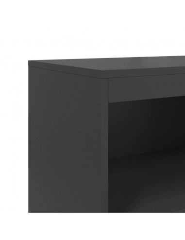 Credenza Nera 68,5x38,5x123,5 cm in Acciaio
