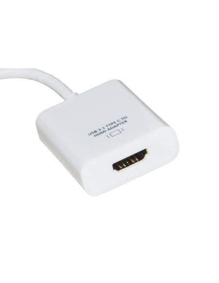 Link Accessori LKADAT80 adattatore grafico USB Bianco