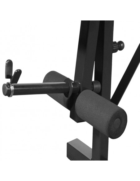 Panca Multifunzione con Bilanciere e Set di Manubri 30,5 kg