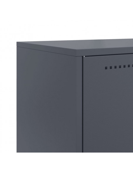 Credenza Antracite 68,5x38,5x123,5 cm in Acciaio