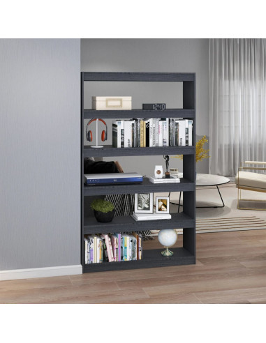 Libreria/Divisorio Grigio 100x30x167,5 cm in Massello di Pino