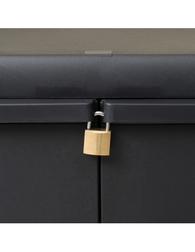 Armadietto da Giardino a 2 Ripiani Nero