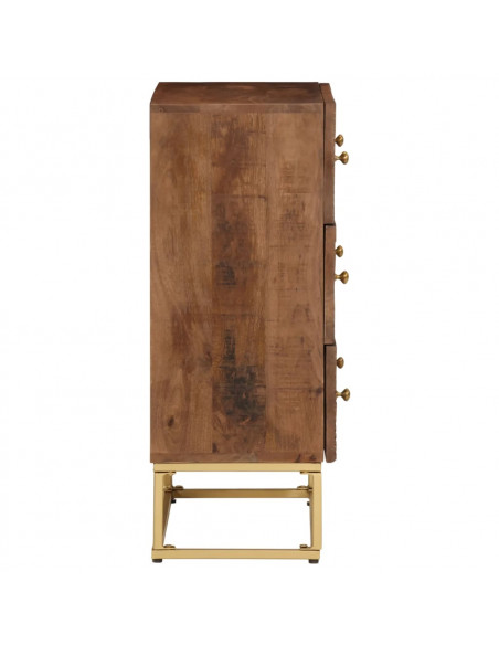 Cassettiera 55x30x76 cm in Legno Massello di Mango e Ferro