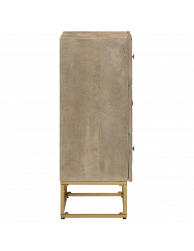 Cassettiera 55x30x76 cm in Legno Massello di Mango e Ferro