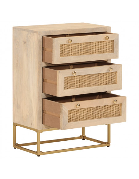 Cassettiera 55x30x76 cm in Legno Massello di Mango e Ferro