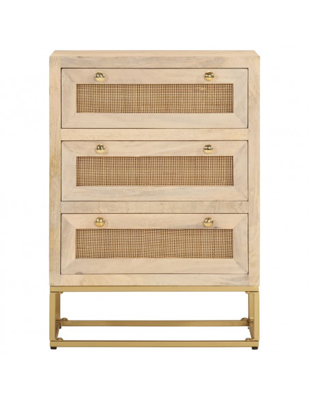 Cassettiera 55x30x76 cm in Legno Massello di Mango e Ferro