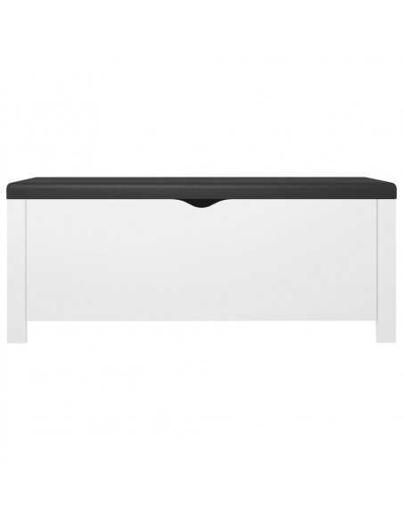Contenitore con Cuscino Bianco 105x40x45cm Legno Multistrato