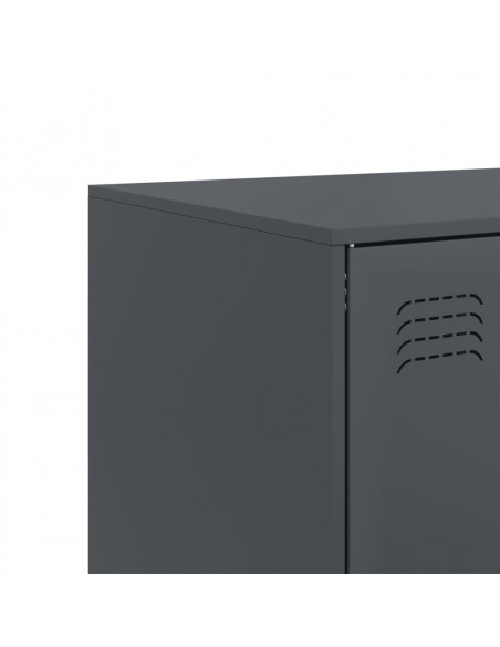 Credenza Antracite 67x39x95 cm in Acciaio