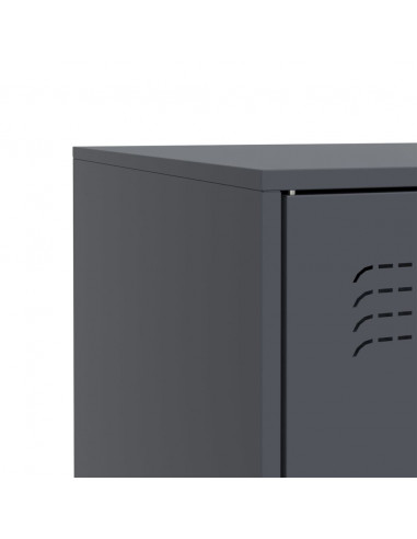 Credenza Antracite 67x39x73 cm in Acciaio