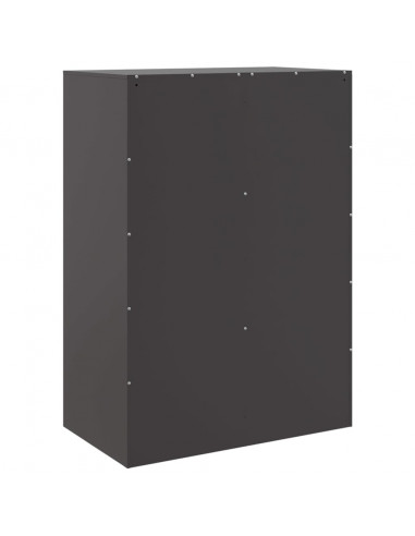 Credenza Nera 67x39x95 cm in Acciaio