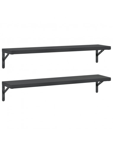 Mensole a Muro 2 pz 100x23,5 cm Nero in Acciaio Inossidabile