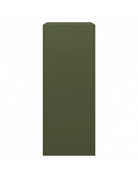 Rastrelliera per Legna da Ardere Verde 60x40x100 cm in Acciaio