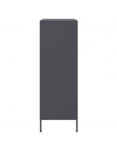 Credenza Antracite 68x39x113 cm in Acciaio 2