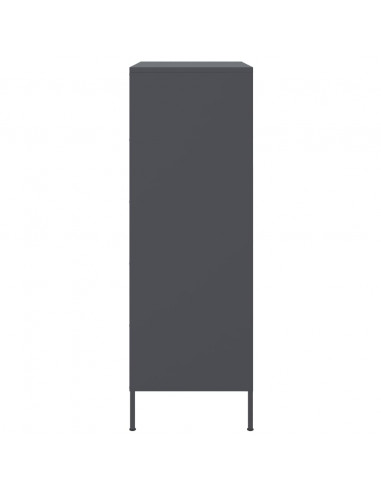 Credenza Antracite 68x39x113 cm in Acciaio