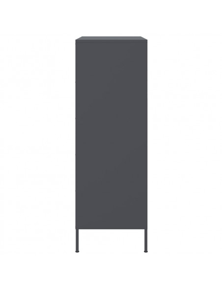 Credenza Antracite 68x39x113 cm in Acciaio