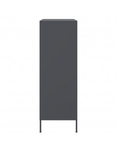 Credenza Antracite 68x39x113 cm in Acciaio 2