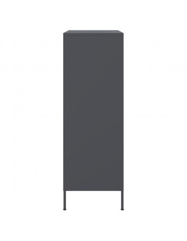 Credenza Antracite 68x39x113 cm in Acciaio