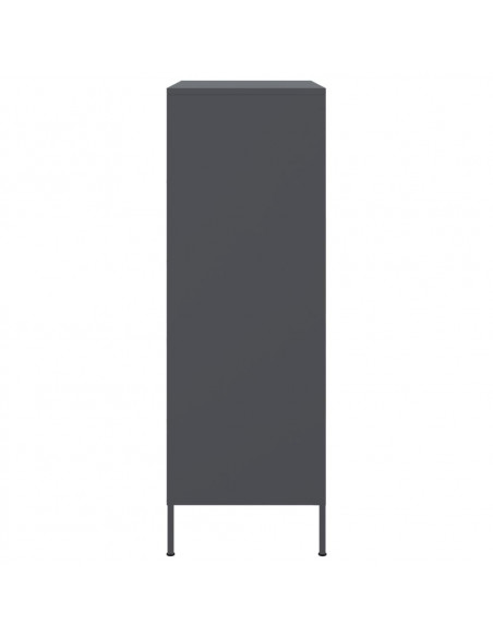 Credenza Antracite 68x39x113 cm in Acciaio