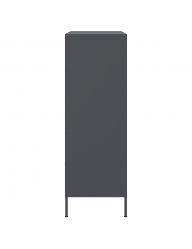 Credenza Antracite 68x39x113 cm in Acciaio