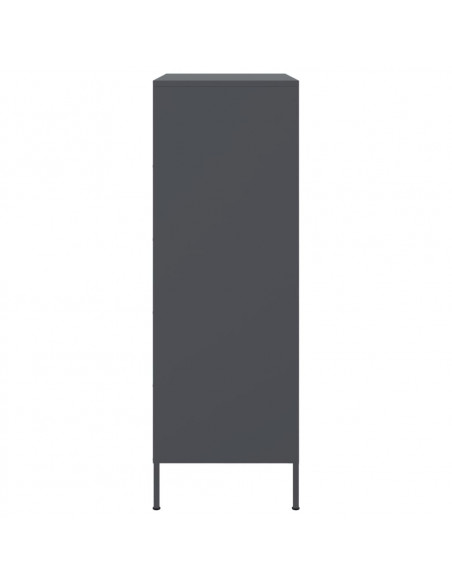 Credenza Antracite 68x39x113 cm in Acciaio