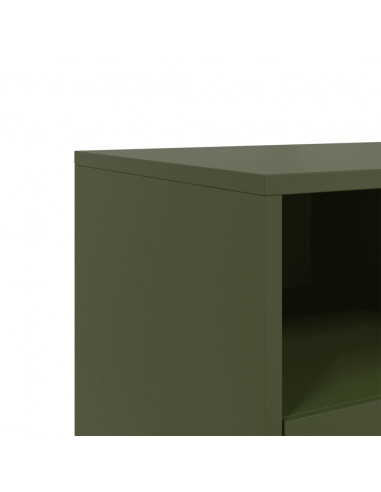 Mobile TV Verde Oliva 68x39x60,5 cm in Acciaio
